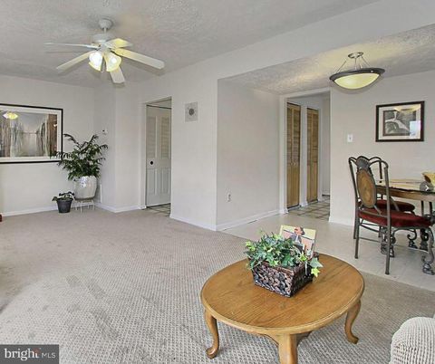 Dining room, Interior, Pendant Lights