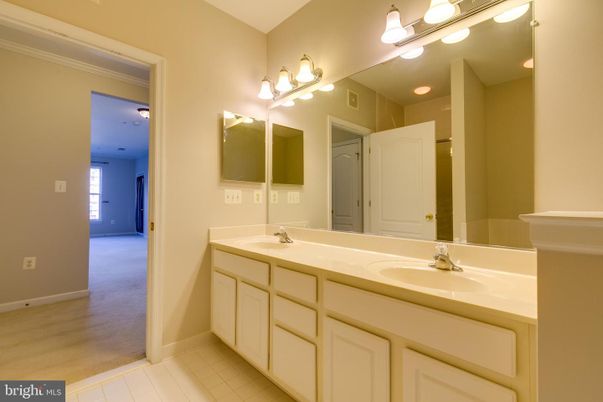 Bathroom, Dual Sink Vanities, Interior, Wood Texture Flooring