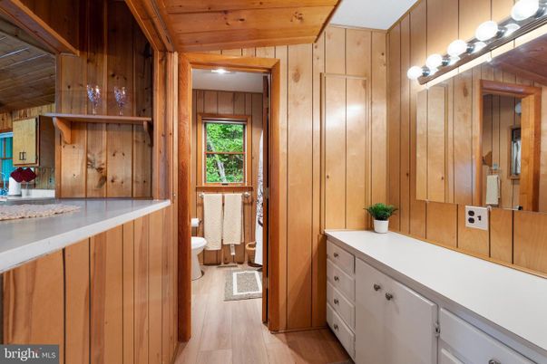 Bathroom, Interior, Wood Texture Flooring, Wooden Walls