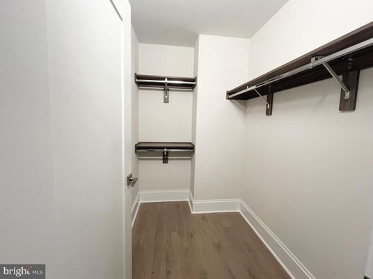 Interior, Walk-in Closets, Wood Texture Flooring