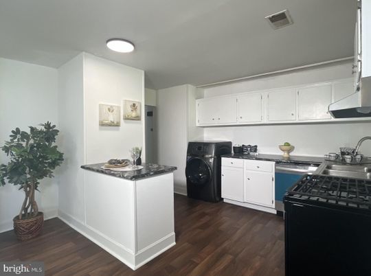 Interior, Kitchen, Washer, Wood Texture Flooring