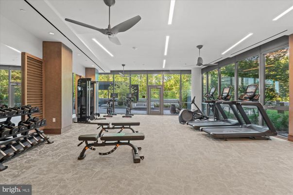 Fitness Equipment, Gym, Interior, Recessed Lighting