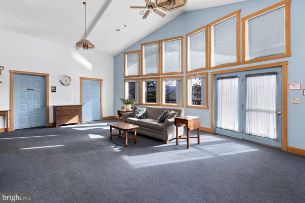 Interior, Living room, Pendant Lights