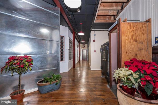 Interior, Pendant Lights, Wood Texture Flooring
