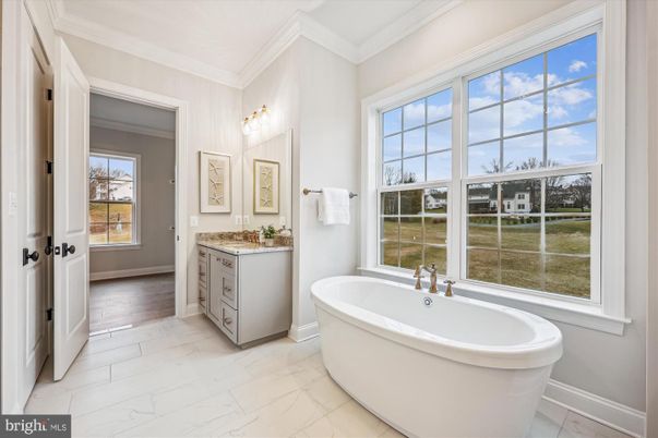 Bathroom, Free Standing Baths, Interior, Marble