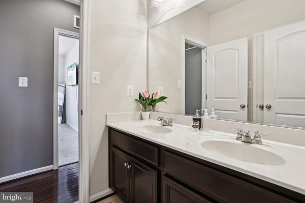 Bathroom, Dual Sink Vanities, Interior, Wood Texture Flooring
