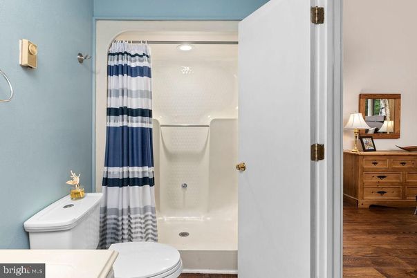 Bathroom, Interior, Recessed Lighting, Wood Texture Flooring