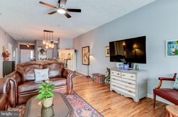 Dining room, Interior, Kitchen, Living room, Pendant Lights, Wood Texture Flooring