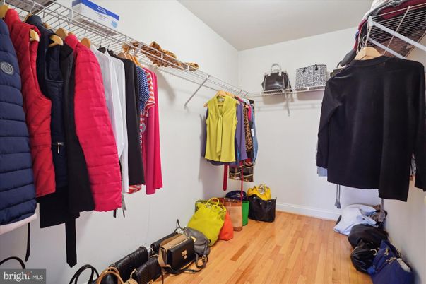 Interior, Walk-in Closets, Wood Texture Flooring