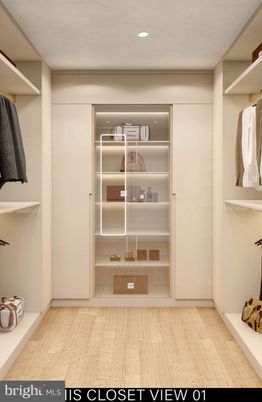 Interior, Recessed Lighting, Walk-in Closets, Wood Texture Flooring