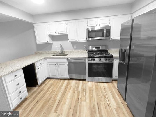 Interior, Kitchen, Stainless Steel Appliances, Wood Texture Flooring
