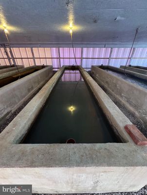 Interior, Pool