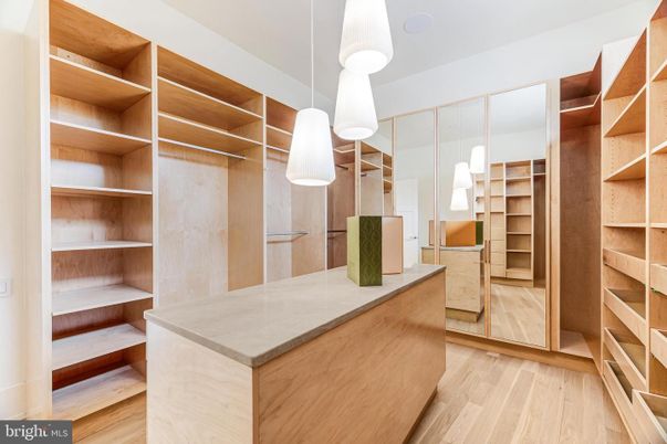 Interior, Pendant Lights, Walk-in Closets, Wood Texture Flooring
