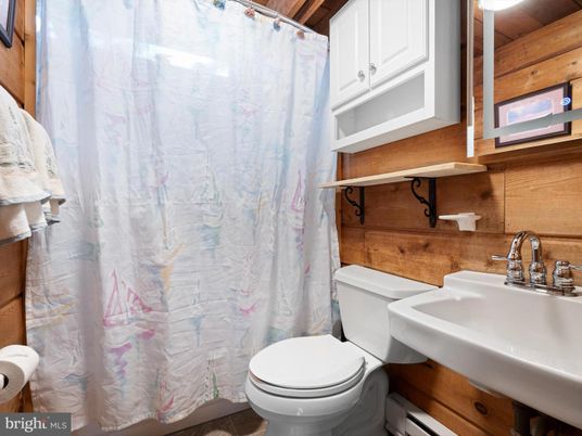 Bathroom, Interior, Wooden Walls