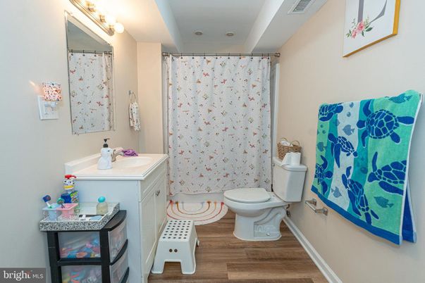 Bathroom, Interior, Wood Texture Flooring