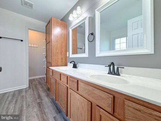 Bathroom, Dual Sink Vanities, Interior, Wood Texture Flooring
