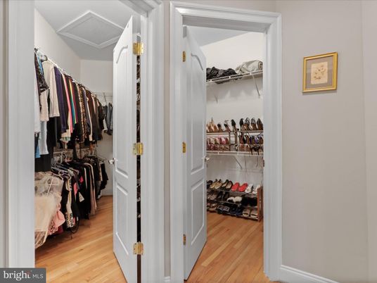 Interior, Walk-in Closets, Wood Texture Flooring