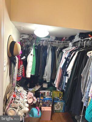 Interior, Walk-in Closets, Wood Texture Flooring