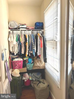 Interior, Walk-in Closets, Wood Texture Flooring