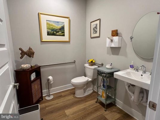 Bathroom, Interior, Wood Texture Flooring