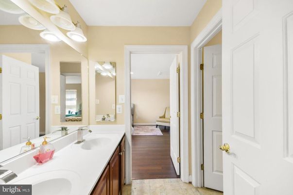 Bathroom, Dual Sink Vanities, Interior, Wood Texture Flooring