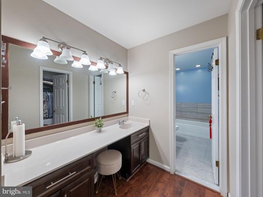 Bathroom, Dual Sink Vanities, Interior, Wood Texture Flooring