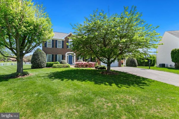Backyard, Exterior, Facade, Georgian