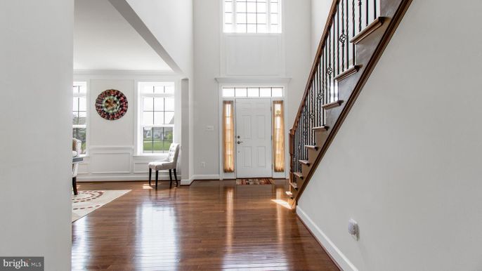 Interior, Wood Texture Flooring