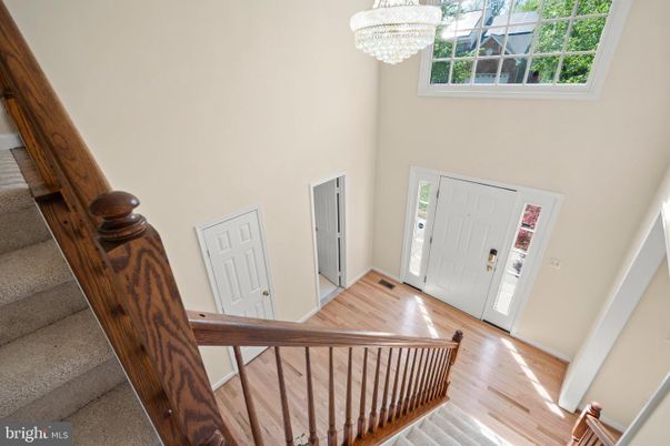 Chandelier, Interior, Wood Texture Flooring