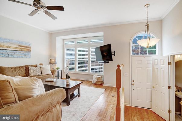 Interior, Living room, Pendant Lights, Wood Texture Flooring