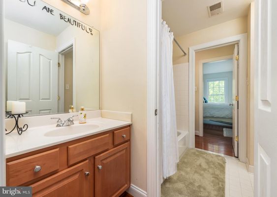 Bathroom, Interior, Wood Texture Flooring
