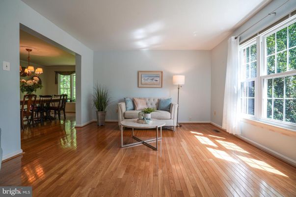 Chandelier, Dining room, Interior, Living room, Wood Texture Flooring