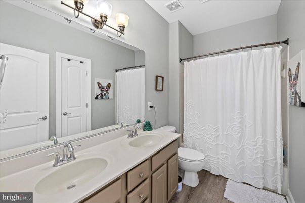 Bathroom, Dual Sink Vanities, Interior, Wood Texture Flooring