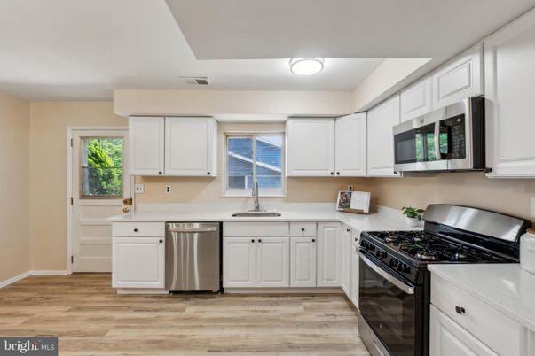 Interior, Kitchen, Stainless Steel Appliances, Wood Texture Flooring