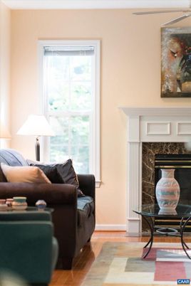 Fireplace, Interior, Wood Texture Flooring