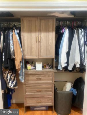 Interior, Walk-in Closets, Wood Texture Flooring