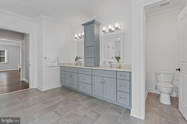 Bathroom, Dual Sink Vanities, Interior, Wood Texture Flooring