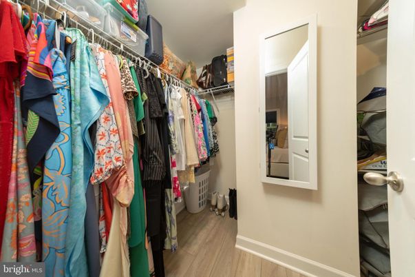 Interior, Walk-in Closets, Wood Texture Flooring