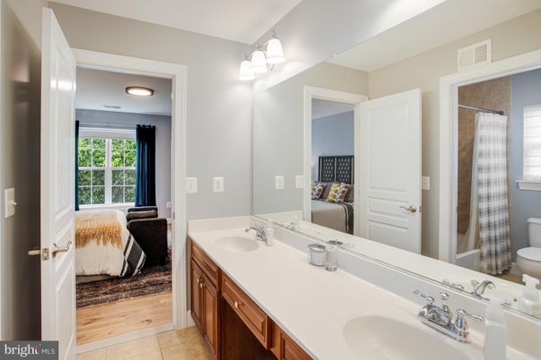 Bathroom, Dual Sink Vanities, Interior, Wood Texture Flooring