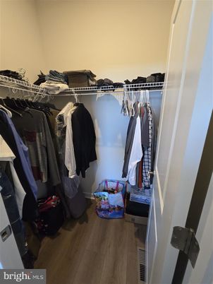 Interior, Walk-in Closets, Wood Texture Flooring