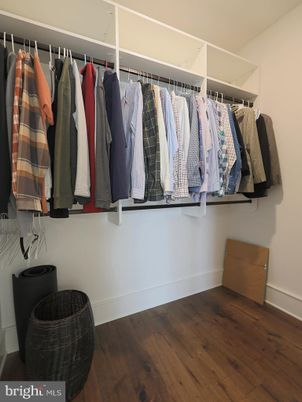 Interior, Walk-in Closets, Wood Texture Flooring