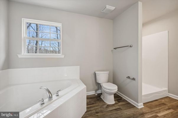 Bathroom, Interior, Wood Texture Flooring