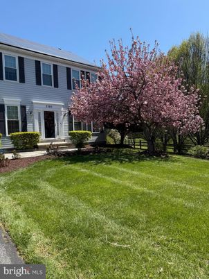Backyard, Exterior, Facade, Georgian