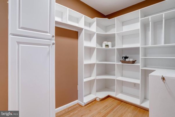 Interior, Walk-in Closets, Wood Texture Flooring