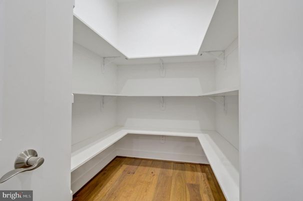 Interior, Walk-in Closets, Wood Texture Flooring