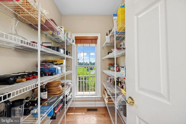 Interior, Walk-in Closets, Wood Texture Flooring