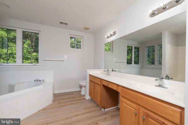 Bathroom, Dual Sink Vanities, Interior, Wood Texture Flooring