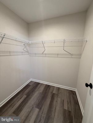 Interior, Walk-in Closets, Wood Texture Flooring