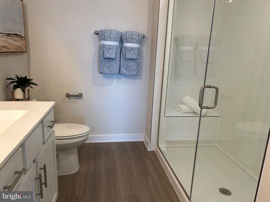 Bathroom, Glass Shower, Interior, Wood Texture Flooring