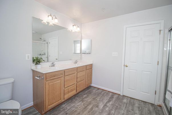 Bathroom, Dual Sink Vanities, Interior, Wood Texture Flooring